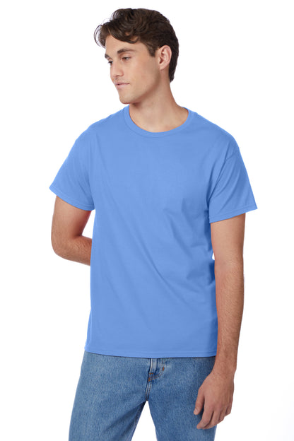 Hanes Authentic-T T-Shirt - 5250