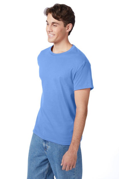 Hanes Authentic-T T-Shirt - 5250