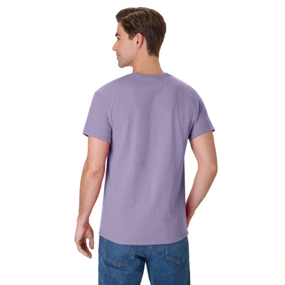 Hanes Authentic-T T-Shirt - 5250