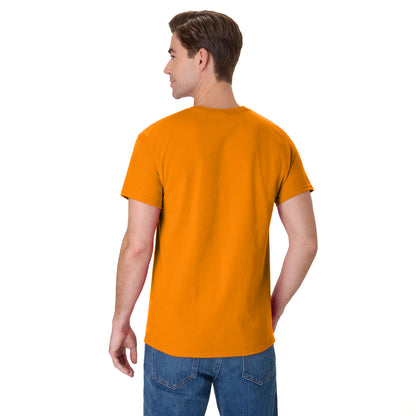 Hanes Authentic-T T-Shirt - 5250