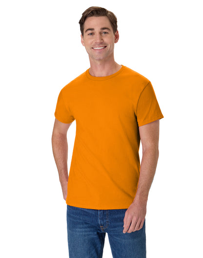 Hanes Authentic-T T-Shirt - 5250