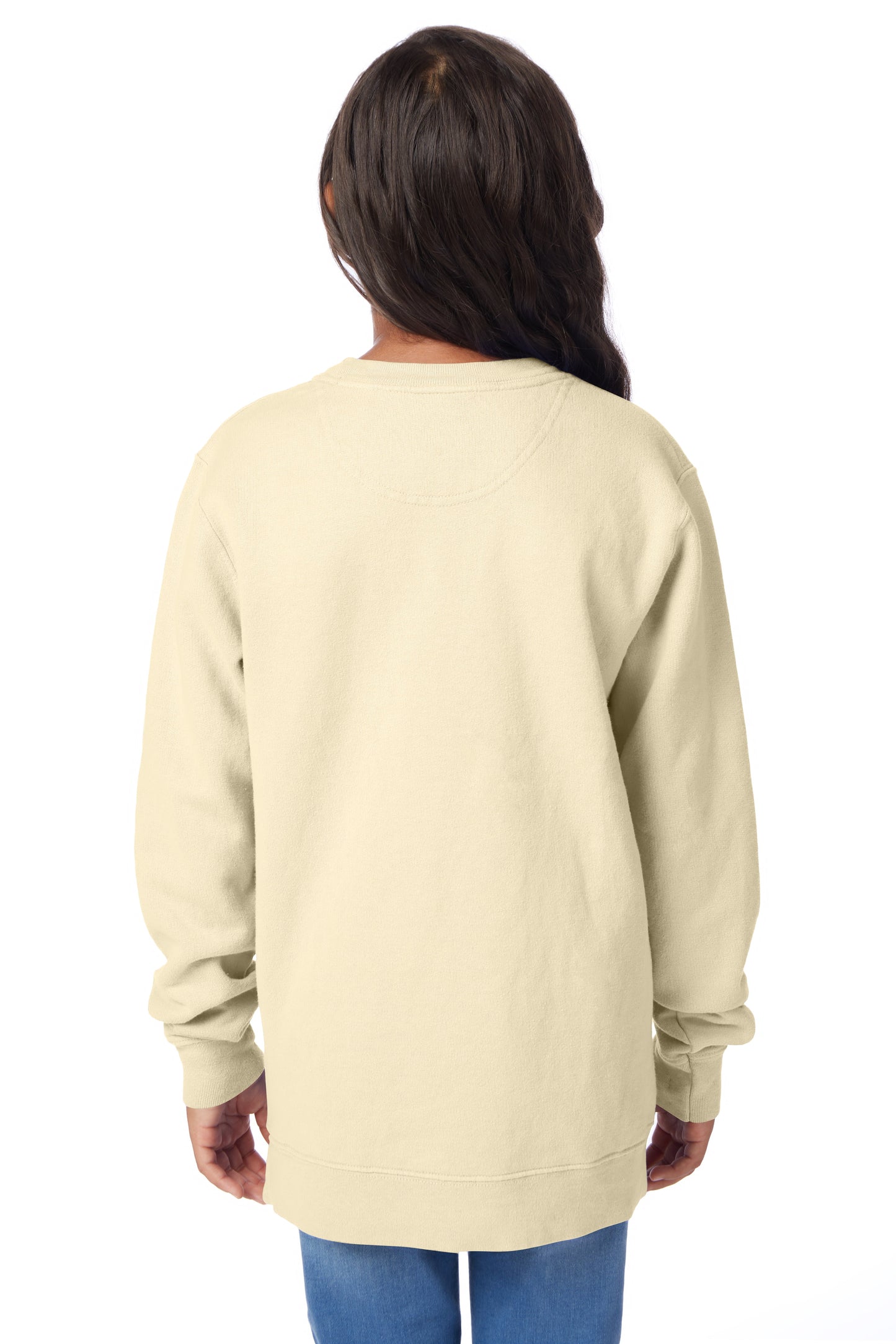 ComfortWash Youth Fleece Sweatshirt  - GDH475