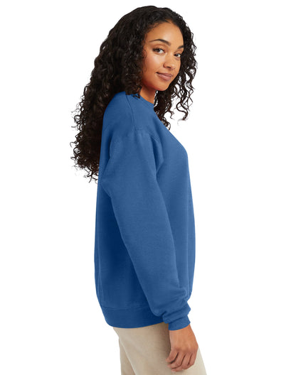 Hanes EcoSmart® Fleece Sweatshirt