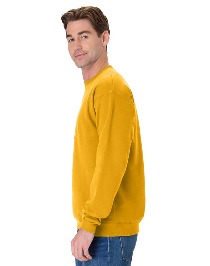 Hanes EcoSmart® Fleece Sweatshirt - P160