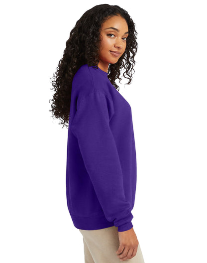 Hanes EcoSmart® Fleece Sweatshirt