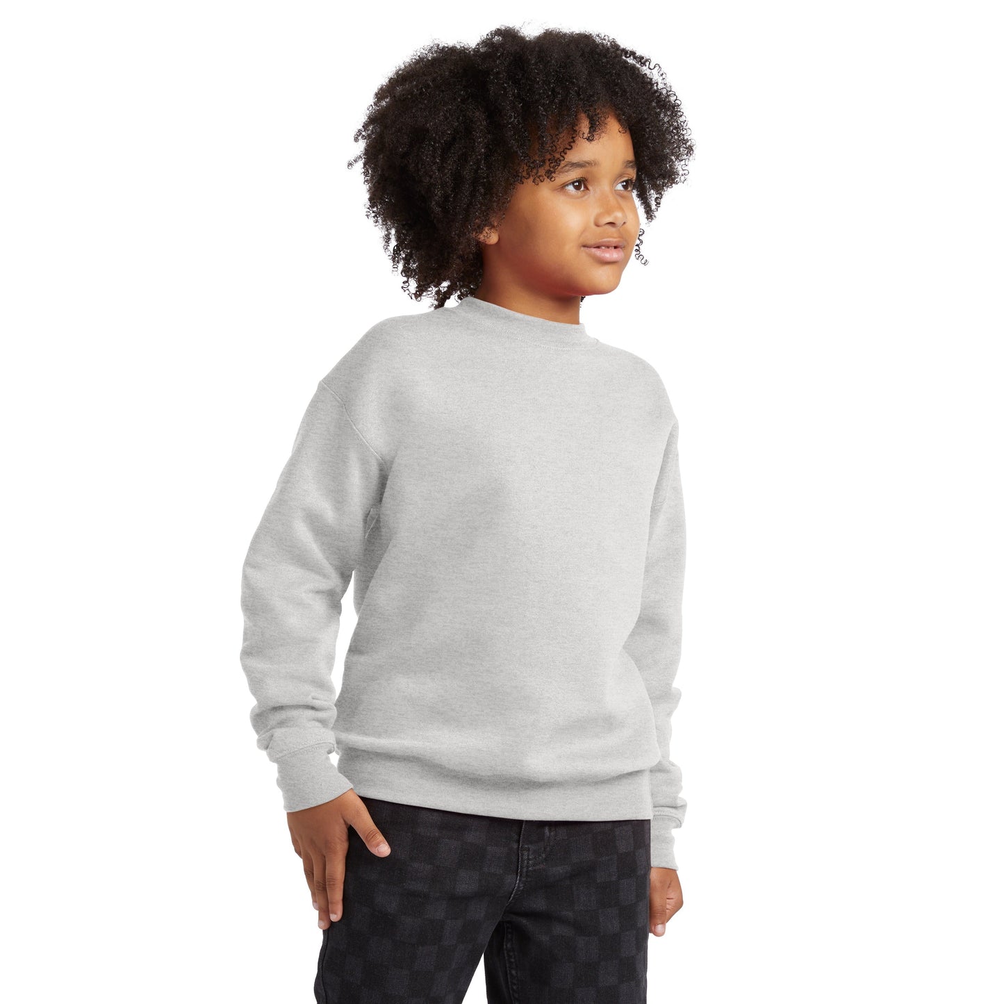 Hanes EcoSmart Fleece Sweatshirt - P360