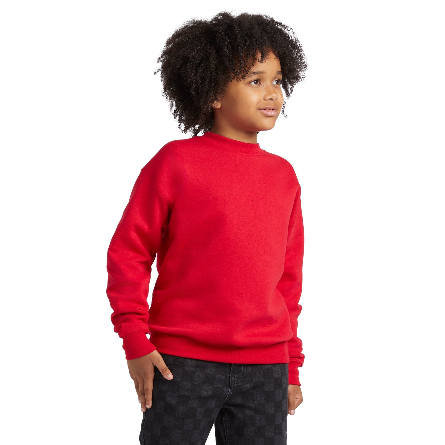 Hanes EcoSmart Fleece Sweatshirt - P360