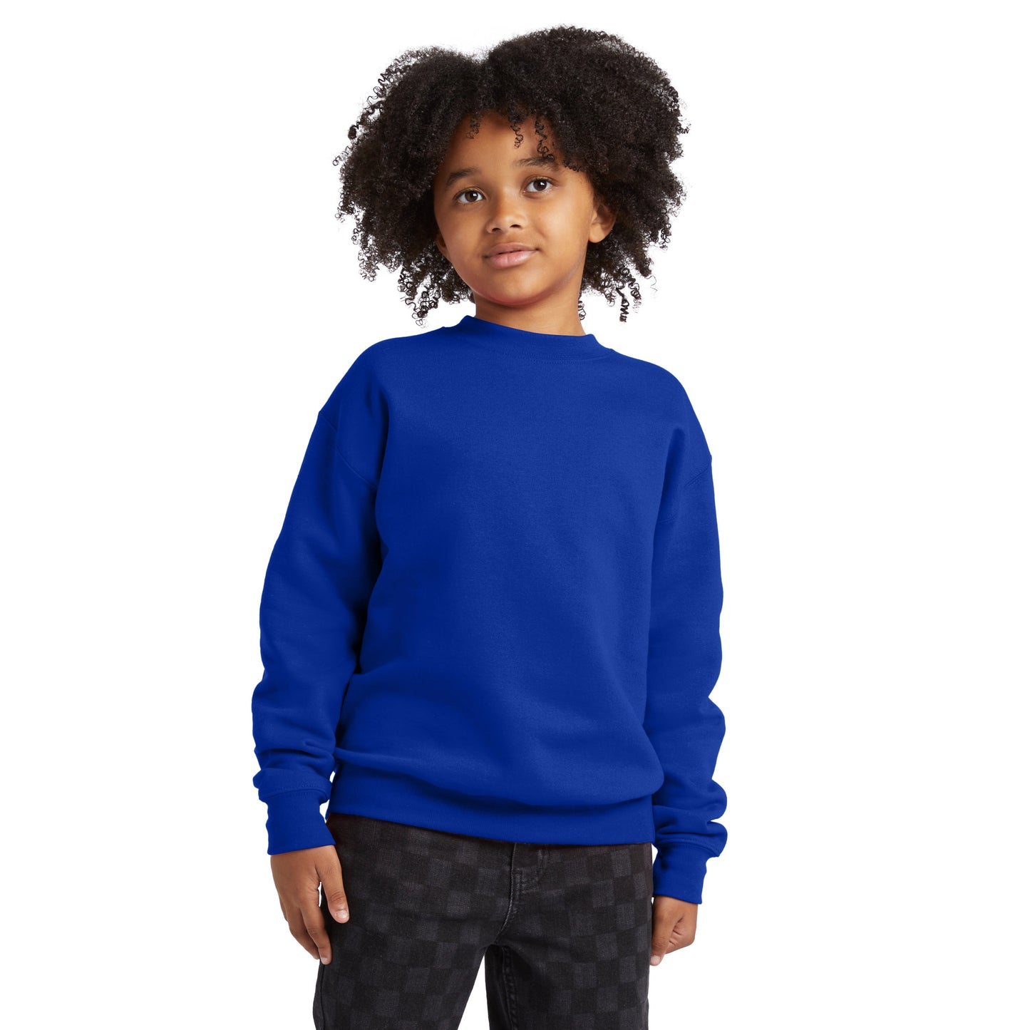 Hanes EcoSmart Fleece Sweatshirt - P360