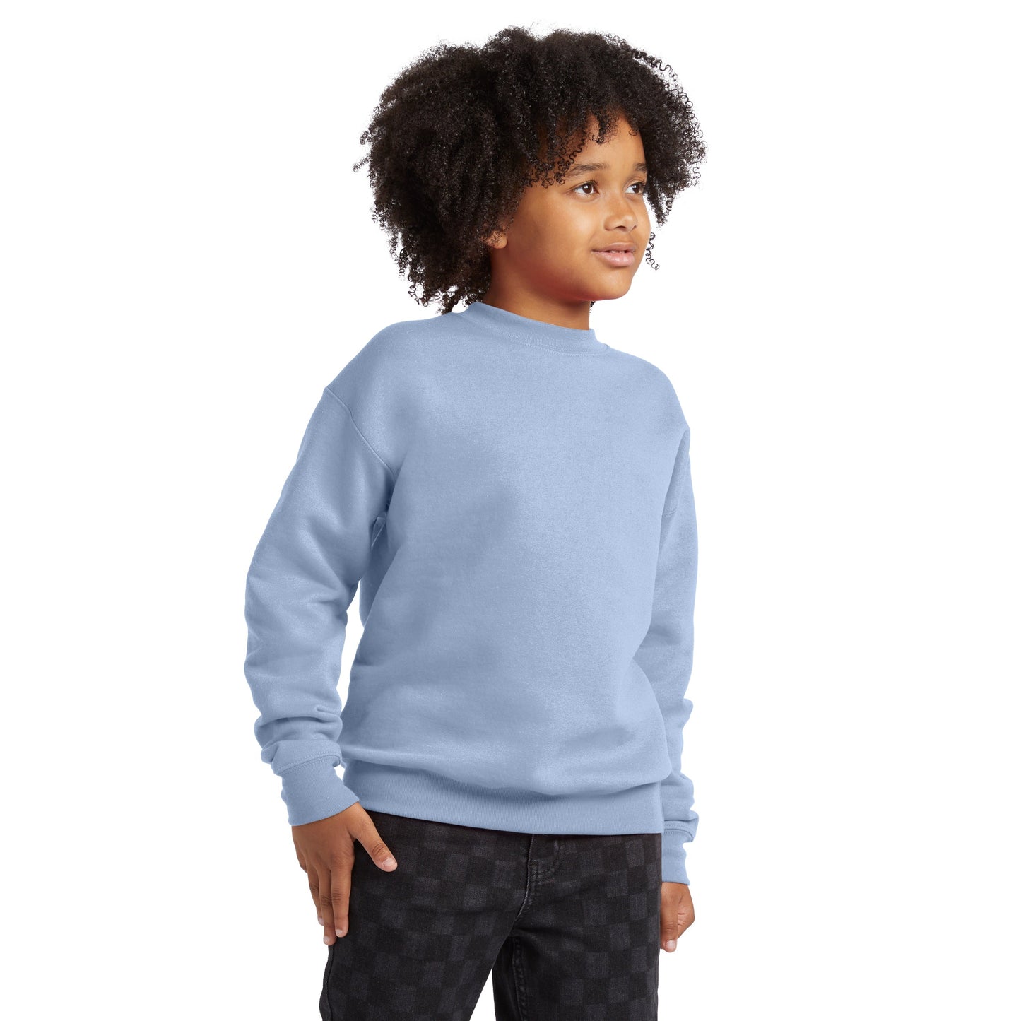 Hanes EcoSmart Fleece Sweatshirt - P360