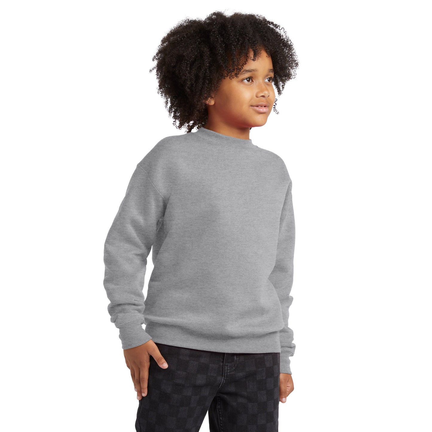 Hanes EcoSmart Fleece Sweatshirt - P360