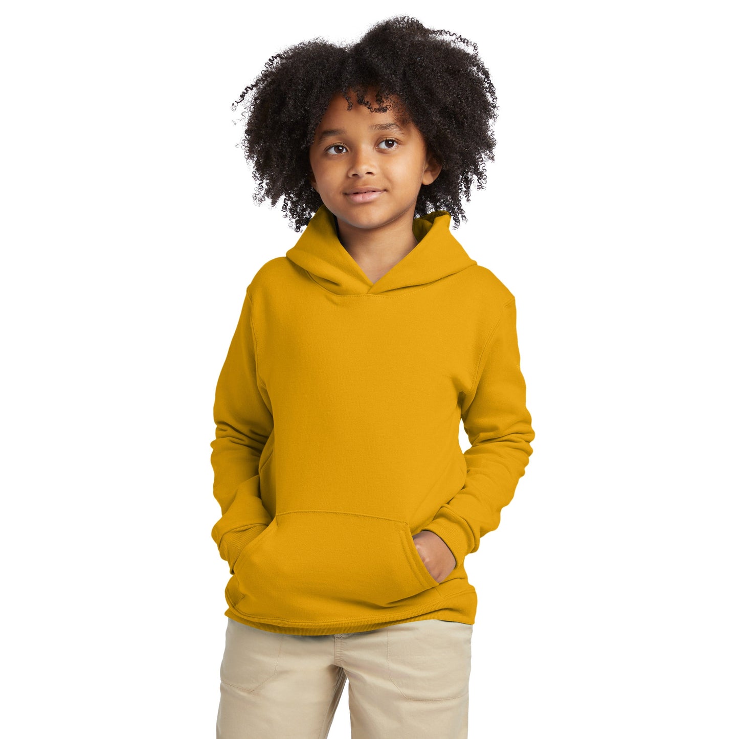 Hanes EcoSmart Fleece Pullover Hoodie - P473