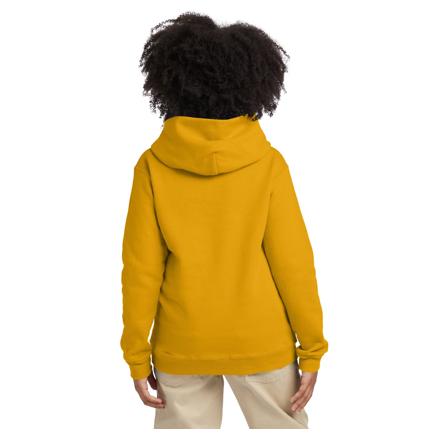 Hanes EcoSmart Fleece Pullover Hoodie - P473