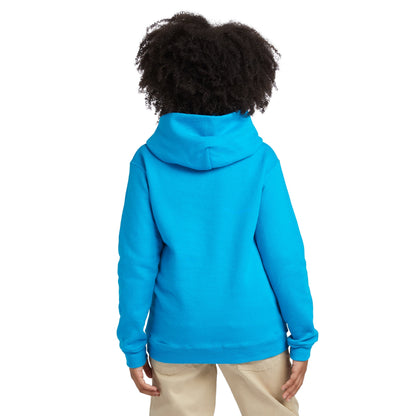 Hanes EcoSmart Fleece Pullover Hoodie - P473